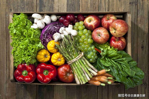 深圳市龍華區(qū)供港蔬菜首次出口 餐飲管理的協同創(chuàng)新與市場機遇