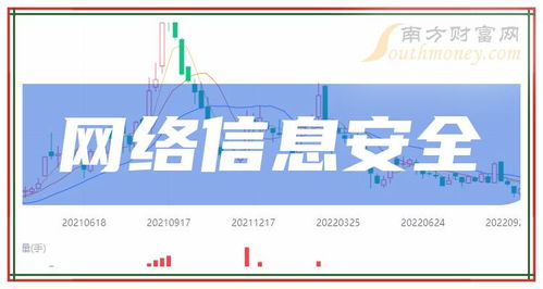 2024年網(wǎng)絡(luò)與信息安全軟件開發(fā)龍頭上市公司全解析