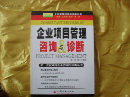 企業項目管理咨詢與診斷 以人力資源服務為戰略核心的效能提升之道